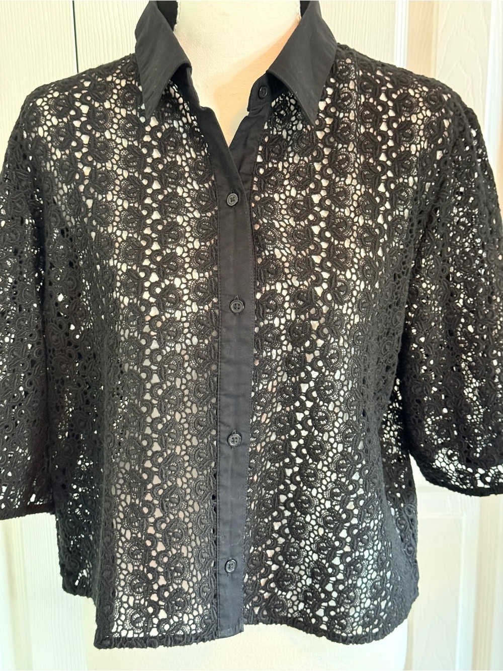 NWT Abercrombie & Fitch Black Crochet Lace Cropped Button-Down Shirt M MSRP $80 - Picture 2 of 8
